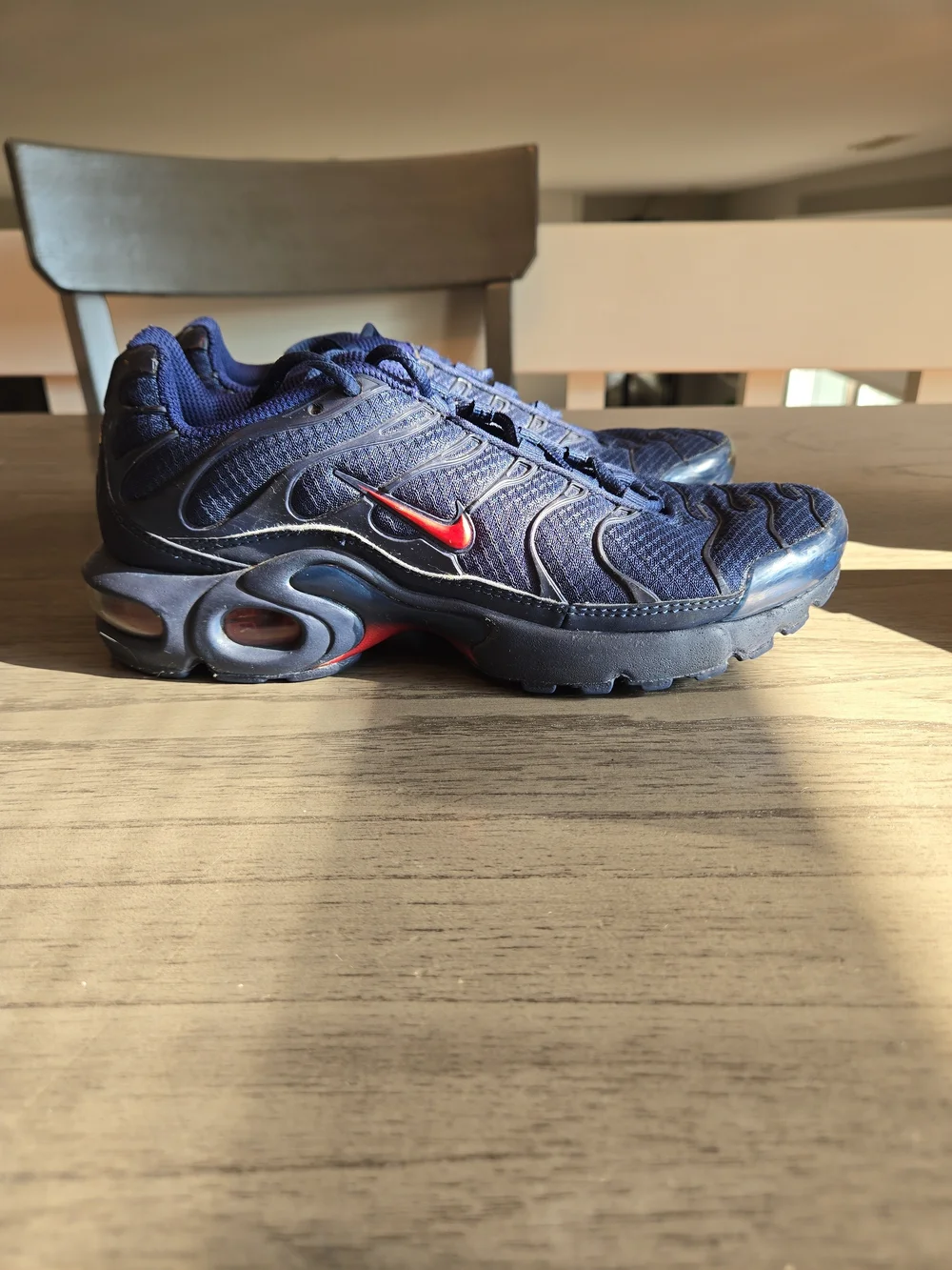 Nike Air Max TN Plus Navy with Red Swoosh